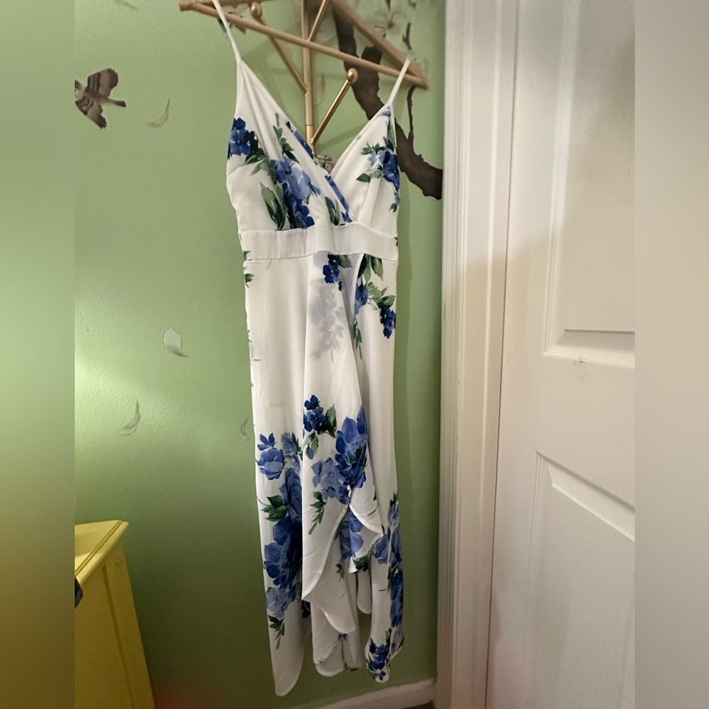 Floral Blue and White Women's Dress